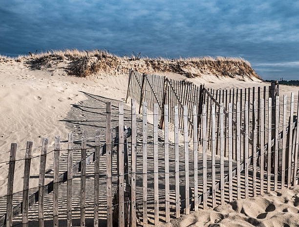 istock Wind Fence in Winter Light, Province Lands 639406126