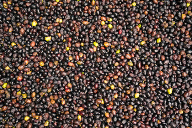 istock Background formed by freshly picked olives. 639406686