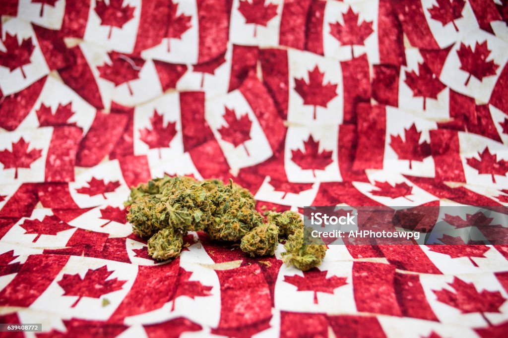 canadian marijuana marijuana on a canadian flag background Canada Stock Photo
