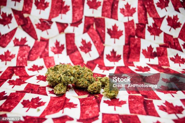 Canadian Marijuana Stock Photo - Download Image Now - Canada, Canadian Culture, Canadian Flag