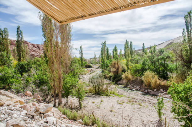 istock Jerez oasis, Atacama Desert, Chile. 639409082