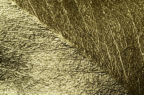 istock Golden leaf macro details 639409198