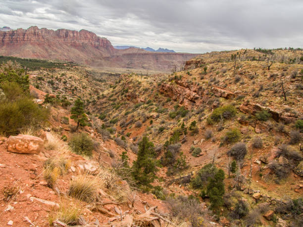 istock Zion National Park, landscape 639412162