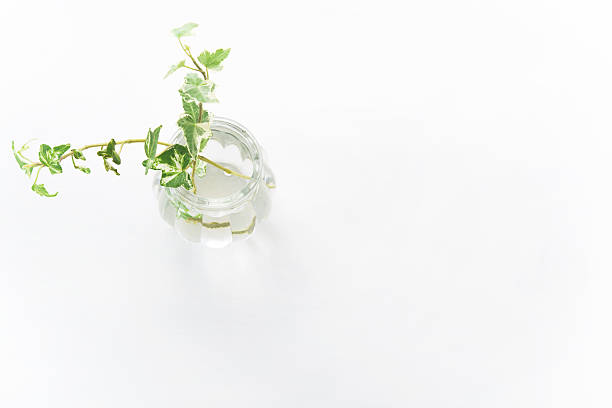 Ivy in glass