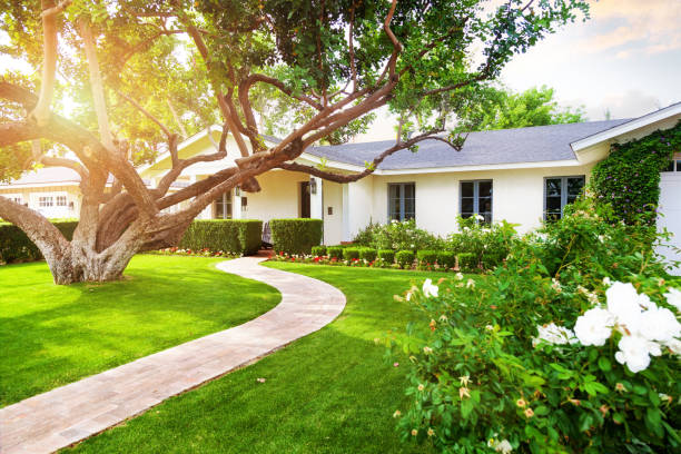 Beautiful Home With Green Grass Yard Beautiful white color single family home in Phoenix, Arizona USA with big green grass yard, large tree and roses houses stock pictures, royalty-free photos & images