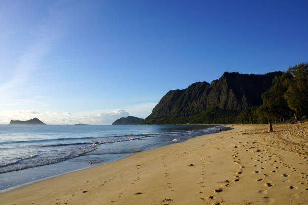 istock Gentle wave lap on Waimanalo Beach 639415022