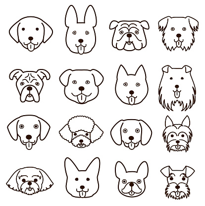 Cute Dogs Faces Line Art Set Stock Illustration - Download Image Now -  Illustration, Shih Tzu, Black And White - iStock