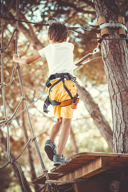 istock Little boy in adventure park 639416856