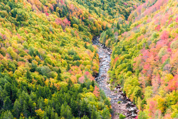Blackwater river with Allegheny mountains in autumn