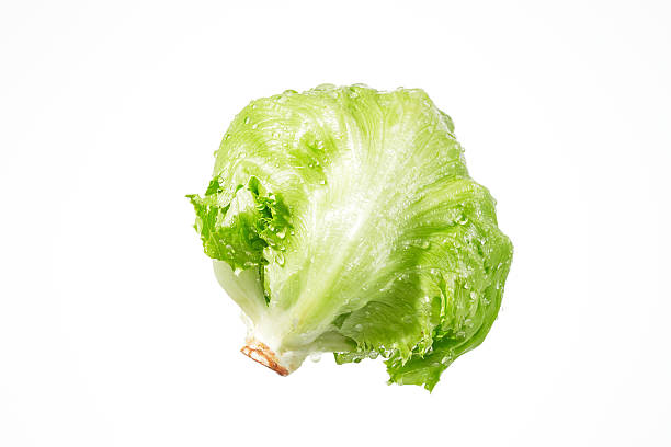 istock the lettuce with droplets 639419198