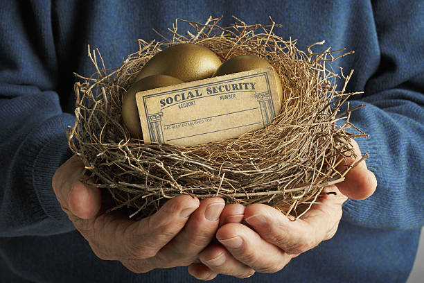 황금 계란과 사회 보장 카드와 둥지를 들고 남자 - birds nest animal nest nest egg savings 뉴스 사진 이미지