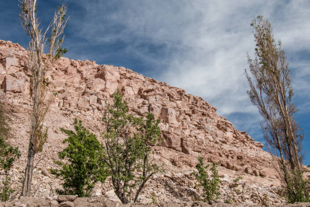 istock Jerez Oasis, Atacama Region, Chile. 639429426