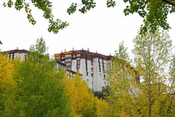 istock Tibet scenery in autumn 639431536
