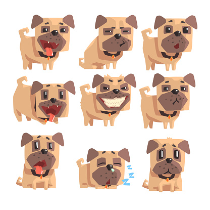 Little Pet Pug Dog Puppy With Collar Set Of Emoji Facial Expressions And Activities Cartoon Illustrations. Cute Small Animal Emoticons In Stylized Geometric Vector Design.