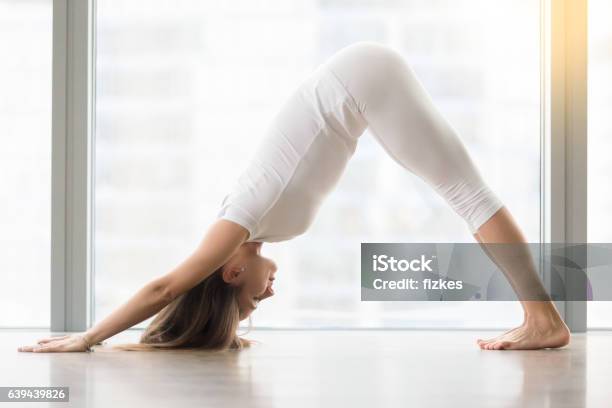 Young Woman In Adho Mukha Svanasana Pose Against Floor Window Stock Photo - Download Image Now