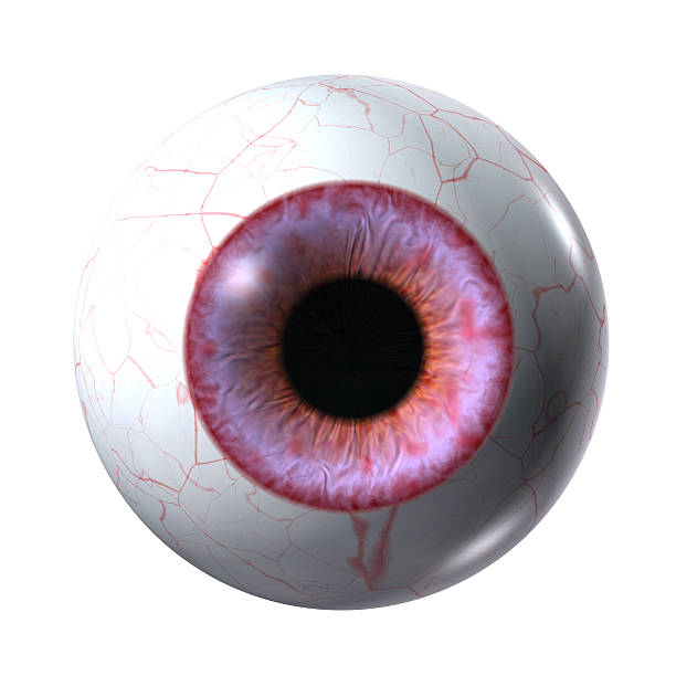 stockillustraties, clipart, cartoons en iconen met red vampire eyeball isolated on a white - dieren netvlies