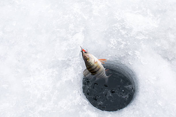 pêche sur la glace - ice fishing photos et images de collection