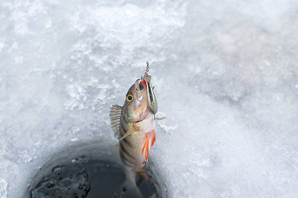 istock Ice fishing 639442494
