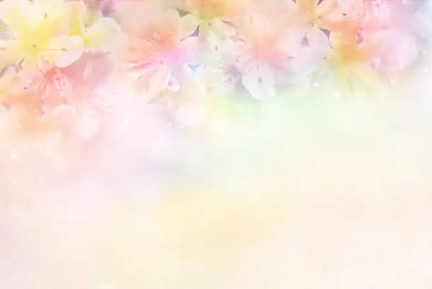 Photo of flower soft background in pastel tone for valentine or wedding