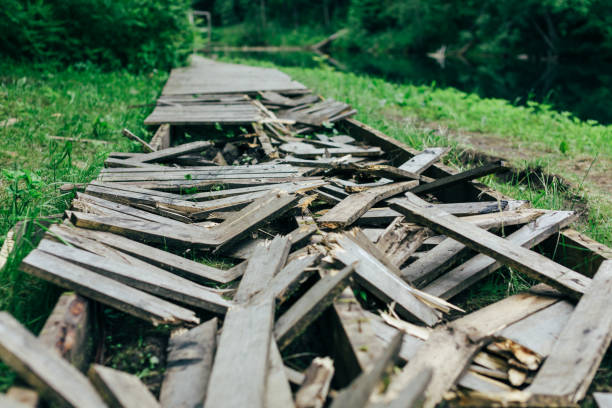 istock Old destroyed boardwalk in green forest. 639447650