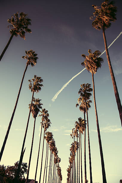 istock sunset blvd on beverly hills 639448766