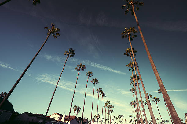 istock sunset blvd on beverly hills 639448842