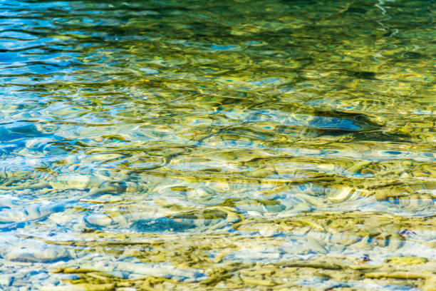 istock Blue sea and a moving reflection 639454244