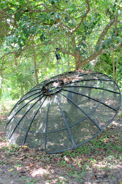 istock broken television antenna in home garden 639460460