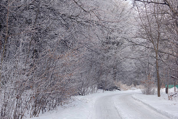 istock winter forest with the footpath covered by hoarfrost 639460898