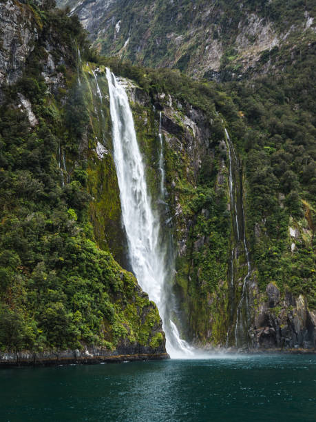 istock Stirling Falls at Milford Sound 639463628