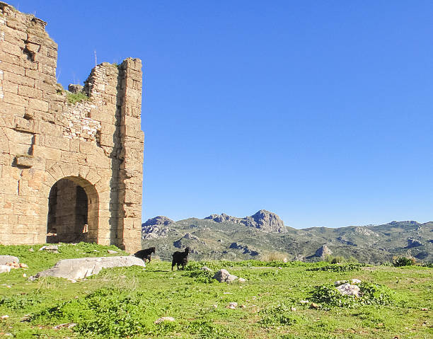 Aspendos (Aspendus) ruins in Turkey Aspendos ancient city in Pamphylia, Asia Minor belek town stock pictures, royalty-free photos & images