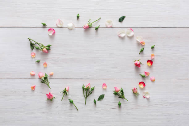 istock Flower shop background, roses frame on white wood 639464304
