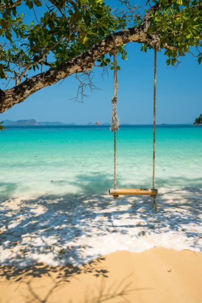 istock swing hang on big tree over beach sea 639465474