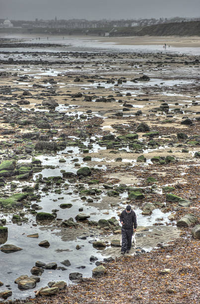 de northumberland coast - north pier fotografías e imágenes de stock