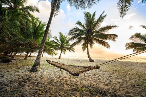 Hammock between palms on sandy beach, Diani, Kenya