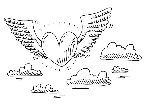 ilustrações de stock, clip art, desenhos animados e ícones de love heart flying in the air drawing - asa de animal ilustrações