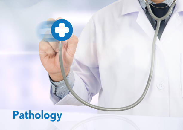 istock Pathology  diagnosis in pathology laboratory , Disease thinking 639472520