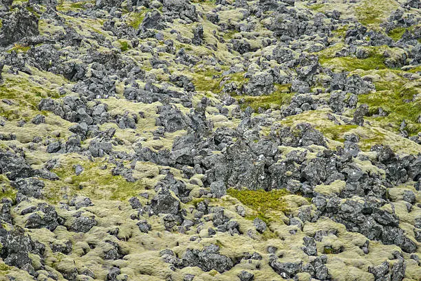 volcano field in iceland