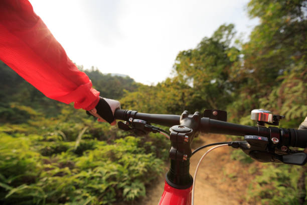 istock people riding mountain bike on forest trail 639477480