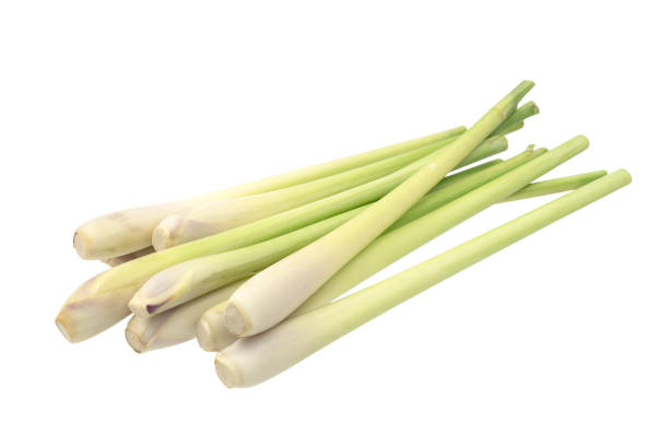 istock Fresh Lemongrass (citronella) isolated on white background 639478484