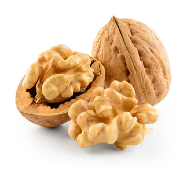 Photo of Walnut isolated on white background. With clipping path.