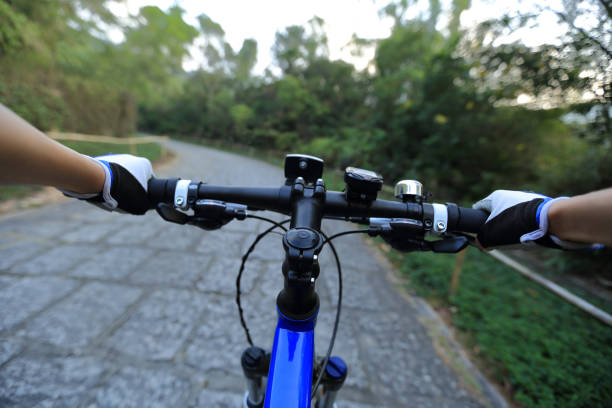 istock riding mountain bike on forest trail 639478700