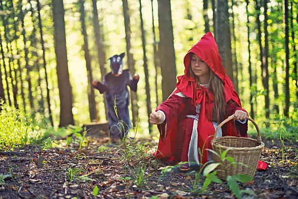 Big Bad Wolf is approaching to the little red riding hood. 
