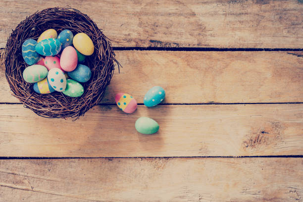 istock Colorful easter egg in the nest on wood background 639481178