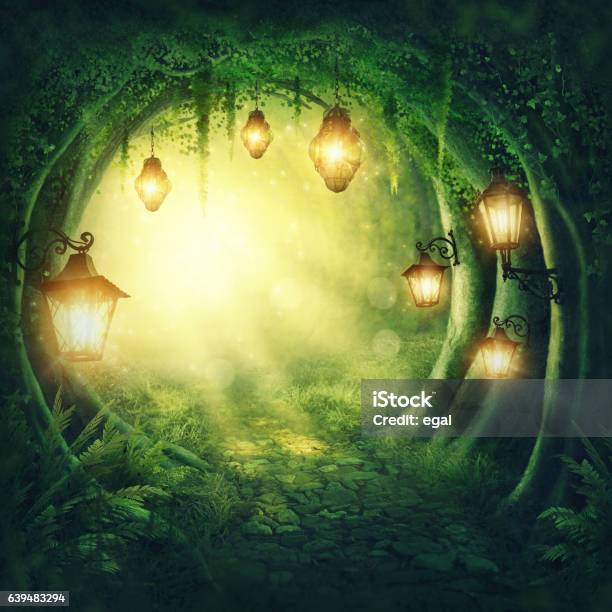 Road In A Dark Forest Stock Photo - Download Image Now - Forest, Fantasy, Mystery