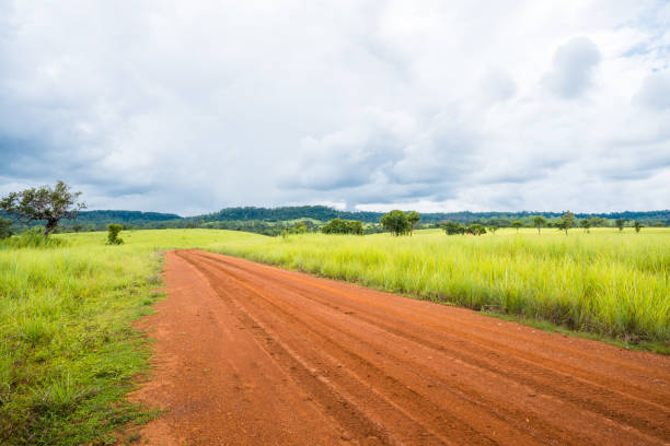 istock meadow savanna landscape 639484794
