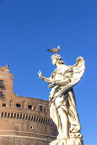 Angel statue with gull, Saint Angel bridge. Rome, Italy