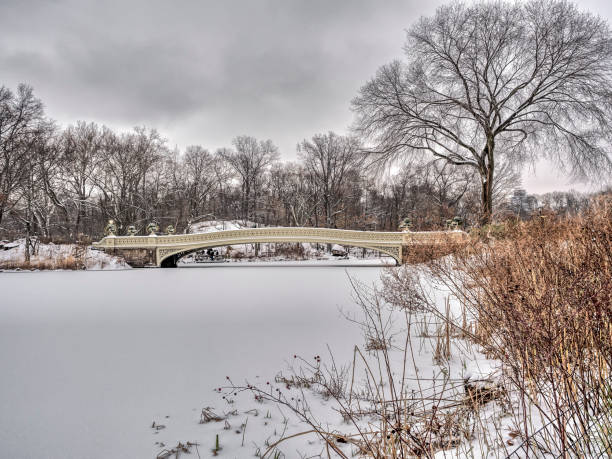 istock The Bow Bridge  during snow storm 639486868