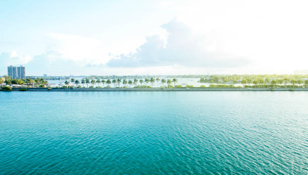 Marina in Miami at dawn, USA