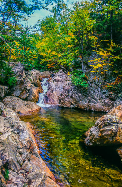 Glen Ellis Falls Trail isl located near Gorham, New Hampshire